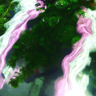 tymmesyde thumbnail