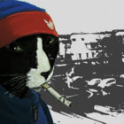 potentvision thumbnail