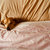 Blanca Gershwin thumbnail