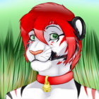 Aiden Corso thumbnail