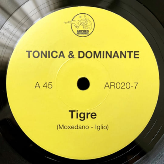 Tonica & Dominante - Tigre / Gennarino 'O Sioux 7