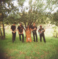Orchestra Gold photo