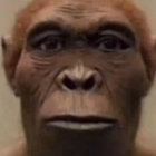 CALLICLÈS thumbnail