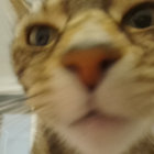 awesomecool12 thumbnail
