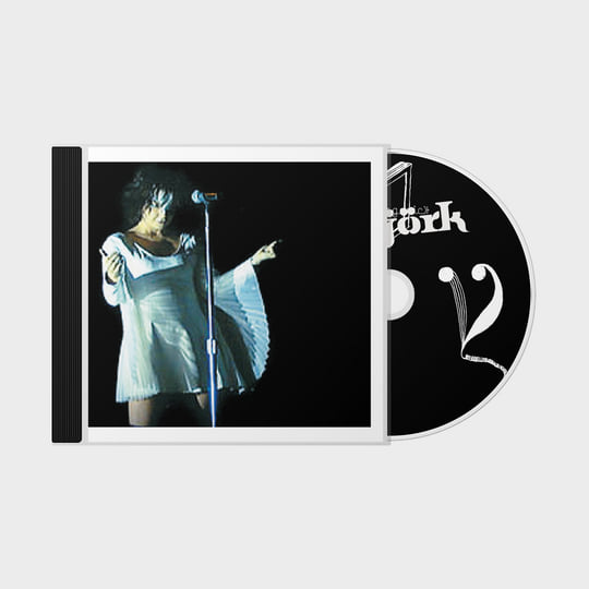 Homogenic Live | Björk