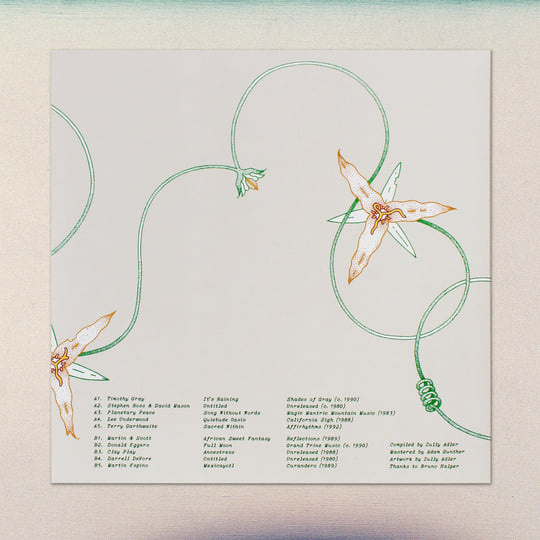 Lost Coast: Some Visionary Music from California, 1980–1992