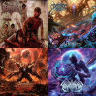 hide Divinite Hive / Stellar ＋2枚 hide Divinite Hive / Stellar