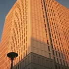 sonnenblumadchen thumbnail