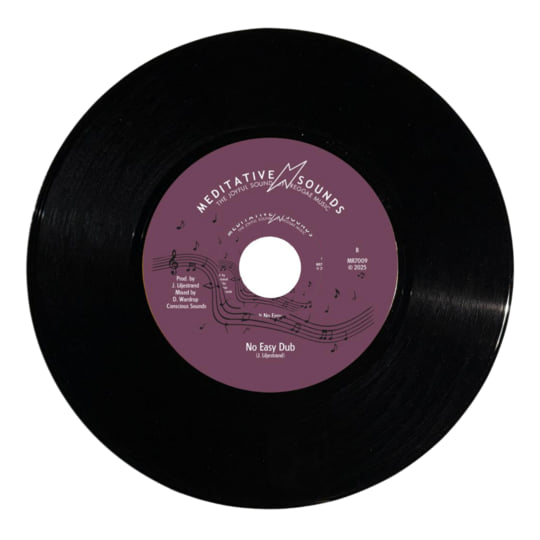 It No Easy | Ras McBean & Meditative Sounds | Meditative Sounds