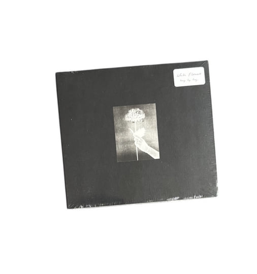 英LP White Flowers Day By Day TLV139LP Tough Love Records /00260 Tough Love White Flowers: Day By Day (blue) LP - Listen Records