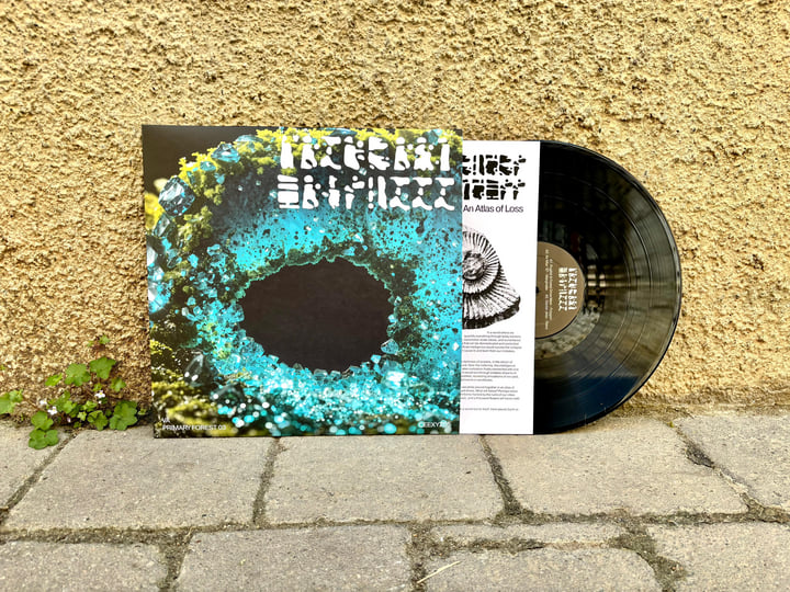 PRIMARY FOREST 03 | CEE