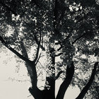 dwinlomusic thumbnail