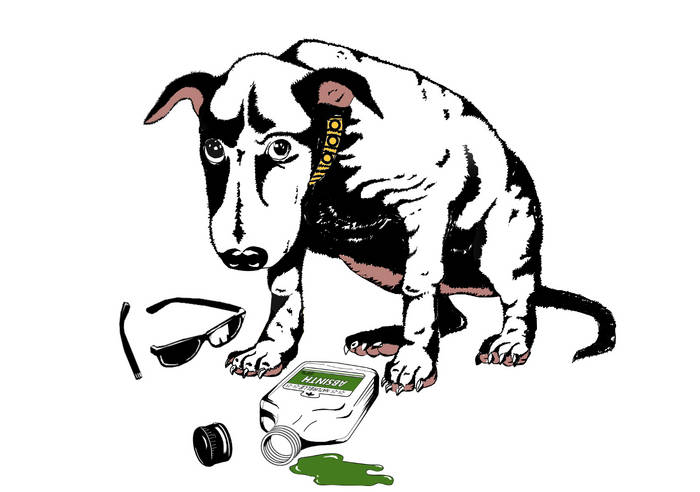 Music | Blame The Dog