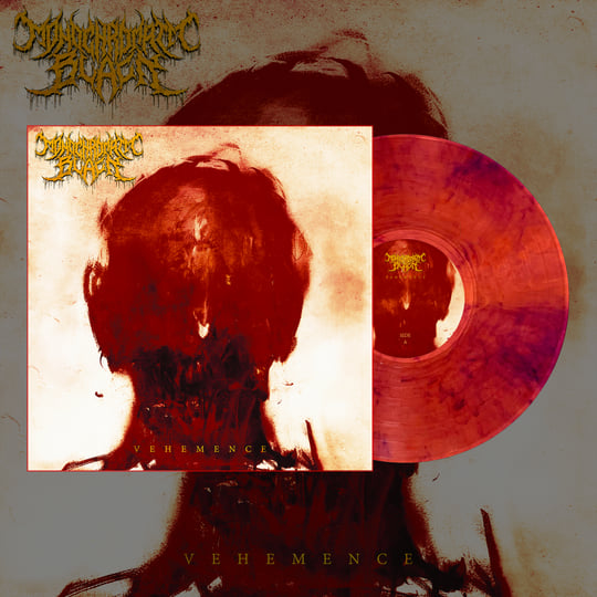 VEHEMENCE | Monochromatic Black