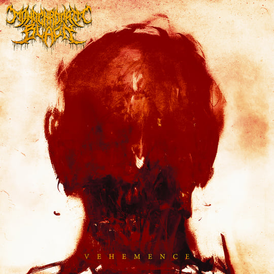 MONOCHROMATIC BLACK 4枚セット デスコア VEHEMENCE | Monochromatic Black