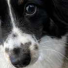 vancoovur thumbnail