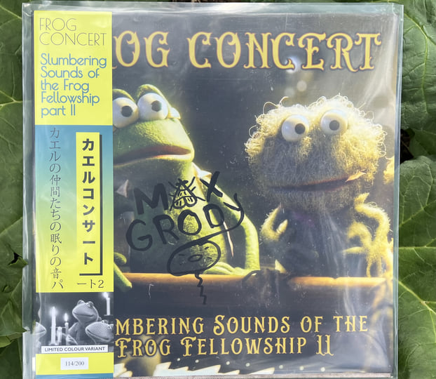 Slumbering Sounds of the Frog Fellowship II | Frog Concert