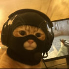 s_verin thumbnail