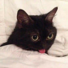 nyanuri thumbnail
