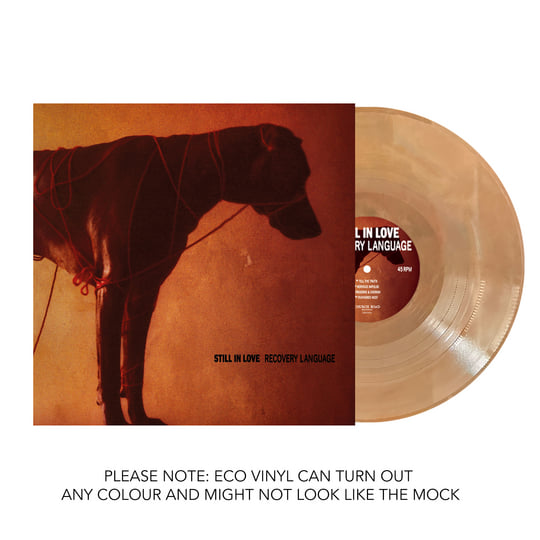 Recovery Language | Still In Love