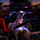 MCFlesh thumbnail