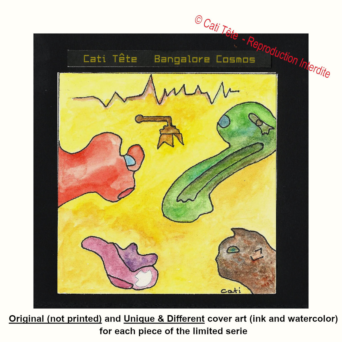 Bangalore Cosmos Cati Tête Cati Tête Deux