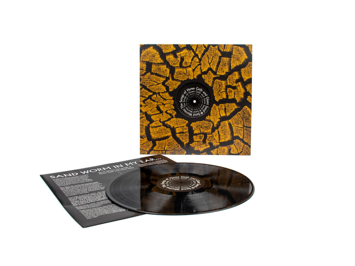 Sandworms - The Songs Of Howe Gelb And Giant Sand | AA.VV. | Giant