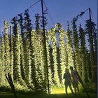 continuous_solution thumbnail