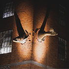 xan_photos thumbnail
