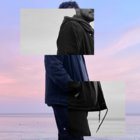 PARSIER thumbnail