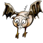 sikakraa thumbnail