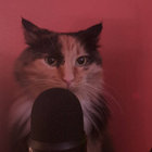 ghidorahstan82 thumbnail
