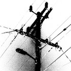 zakkuti thumbnail