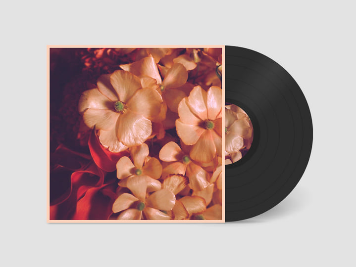 The Wild Joy | Duchamp | Ramble Records