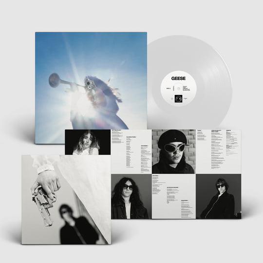 Getting Killed | Geese