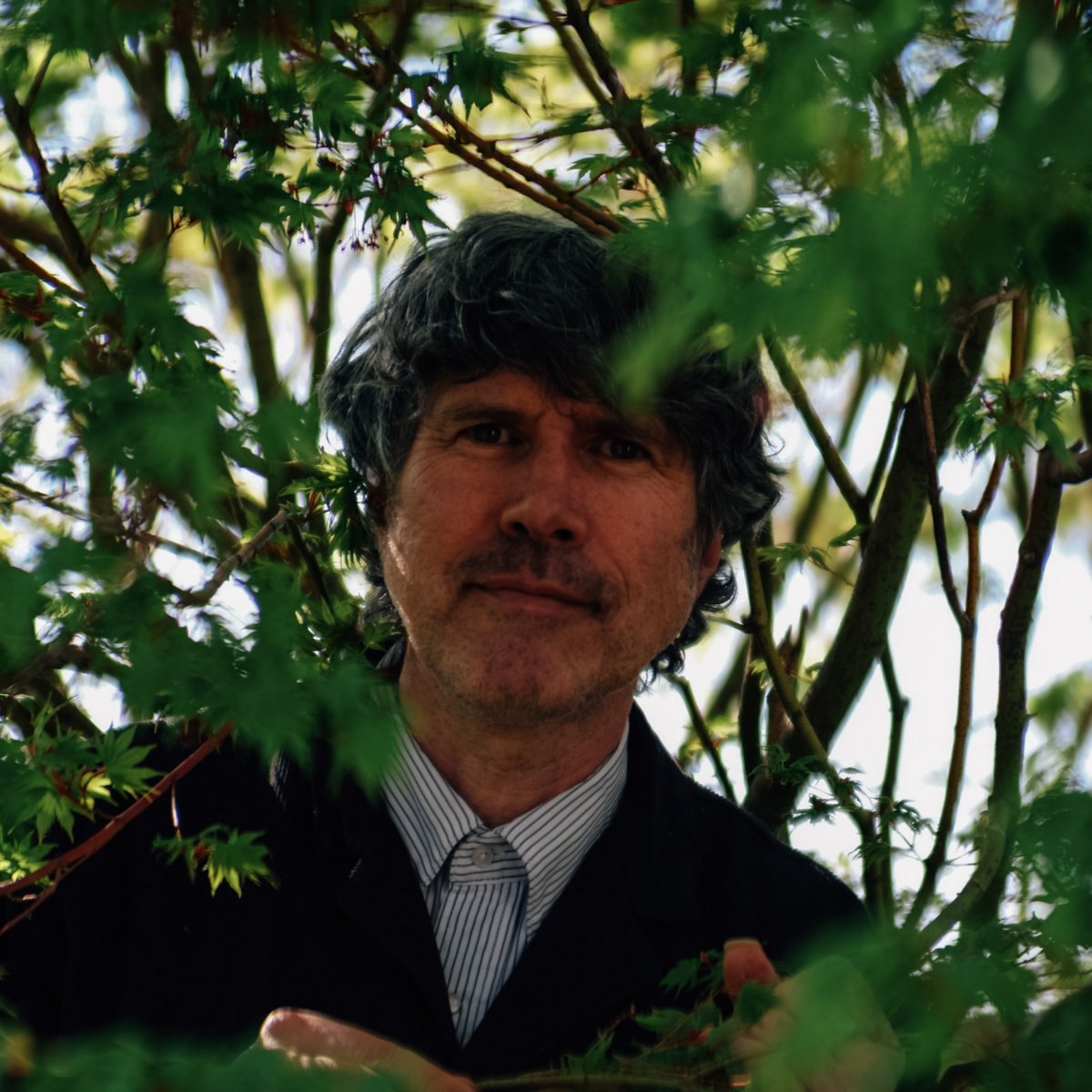 American Interior (2025 Remastered Bonus Edition) | Gruff Rhys