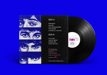 Limited Edition 12" Vinyl, image 2