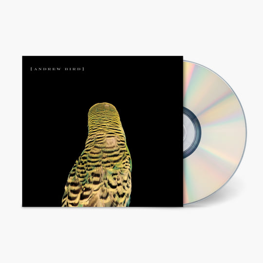 Armchair Apocrypha | Andrew Bird