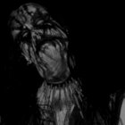 Ahetica thumbnail