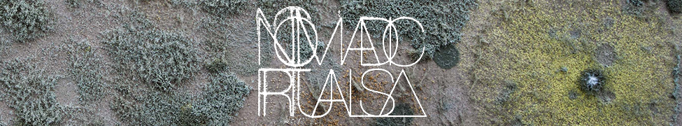 DFWG - Demo | Nomadic Rituals