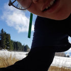 Pukester thumbnail