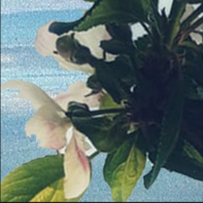 ETSY cover