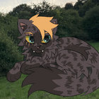 rurf thumbnail