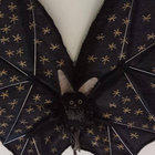 lunadonna thumbnail