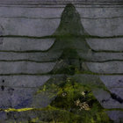 ARROWOUNDS thumbnail
