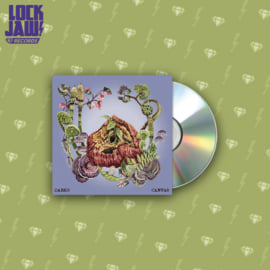 12" Vinyl, image 1