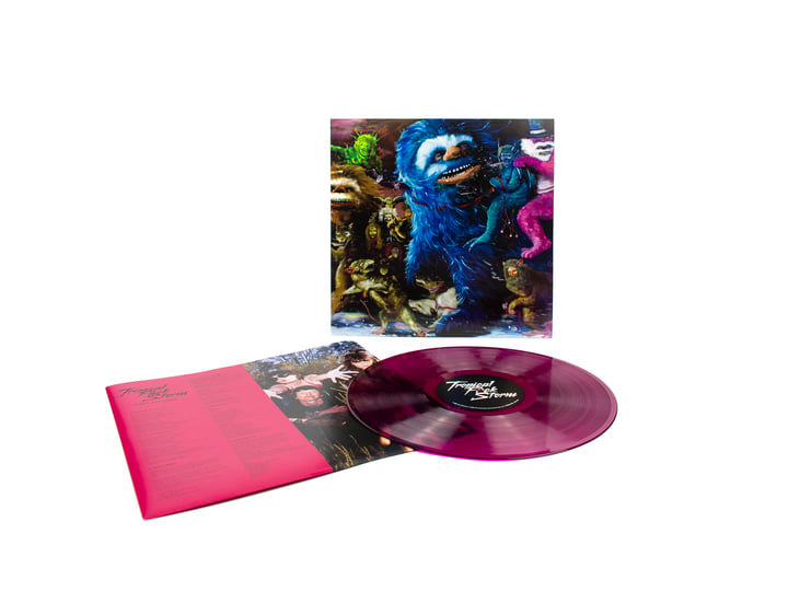 その他 FaB Dromai/Storm of Sandikai Cold Foil Fairyland Codex | TFS