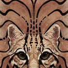 Catarsis thumbnail