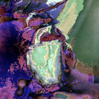 shrike.opaline thumbnail