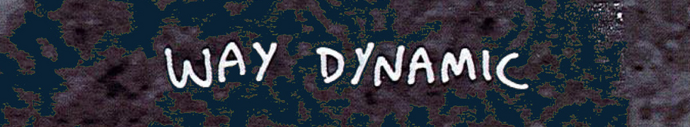 Way Dynamic — Photo